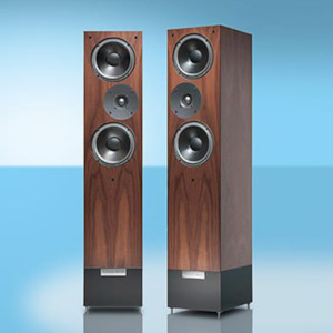 Xmas Hifi Deals: LIVING VOICE-R25A ANNIVERSARY LOUDSPEAKER DEMO MODEL*NEW* save $2290