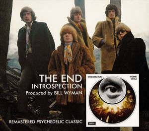 End The- Introspection Cd Nm