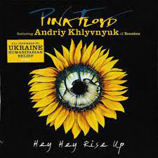 Cd Singles: PINK FLOYD-HEY HEY RISE UP CD SINGLE *NEW*