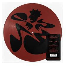 KAYTRANADA-AIN'T NO DAMN WAY PICTURE DISC LP *NEW8