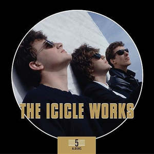 2nd Hand Cds: ICICLE WORKS THE-5 ALBUMS 5CD NM