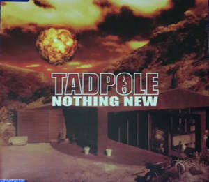 Cd Singles: TADPOLE- NOTHING NEW CDSINGLE NM