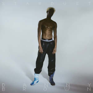 Electronic Electronica: BROWN DANNY-STARDUST CD *NEW*