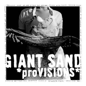GIANT SAND-PROVISIONS CD VG