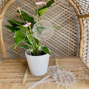 Teacher Gifts: Thank You Plant Stake
