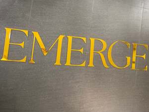 Business: Logo Text Lettering | Mirrored Acrylic