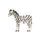 Zebra Safari Napkins (20 pack)