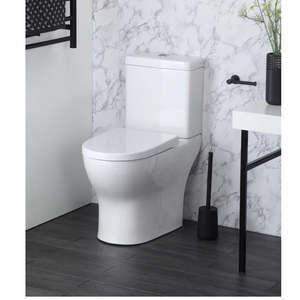 Heirloom Loft Semi Wall Faced Toilet with P Pan (372125P)