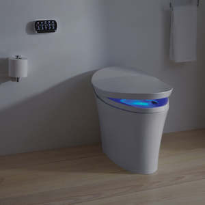 Intelligent Toilets: Kohler Veil Intelligent Wall Faced Toilet (8423A-0)