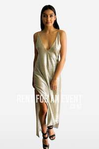 FOR SALE: Natalie Rolt Dion Slip