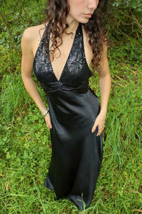 Vintage Vienna gown