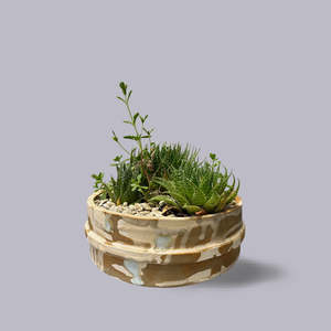 Jody Martin | Bonsai Planter | Sandstorm on Tongariro