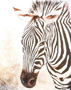 Decorative Outlet: Zebra Painting - Black and White 110x140