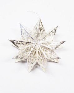 Paper Snowflake - Silver/White