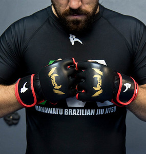 Fangs MMA Gloves respectsports
