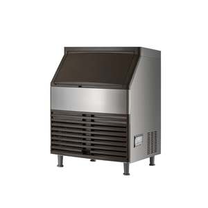 Blizzard: Blizzard Ice Maker Air Cooled SN-210P