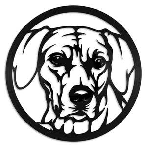 Rhodesian Ridgeback