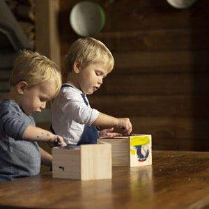 Create Play: Kids Nesting Box w/Paint | paint own birdhouse | REVOLOGY
