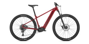Mondraker Bikes: Mondraker Thundra 2024