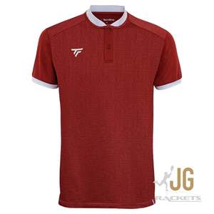 Tecnifibre Mens Team Mesh Polo Cardinal