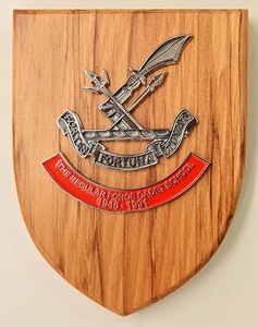 Products: RF Cadet Plaque – RF Cadet Association