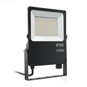 Products: Sal 50w Floodlight Cct