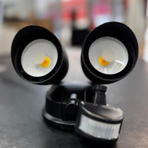 10w Par38 Led 6k Lamp Only