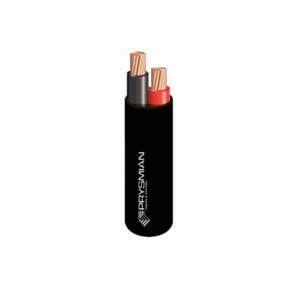 25mm 2c Xlpe Vector Cable (mtr
