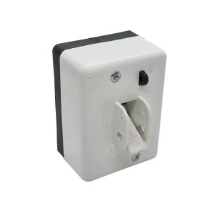 Products: 2 Pole 63a Main Switch