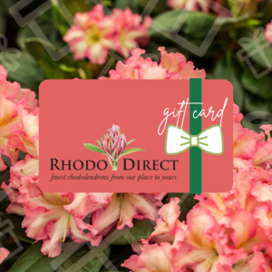 e-Gift Card - RhodoDirect: Rhododendrons Online