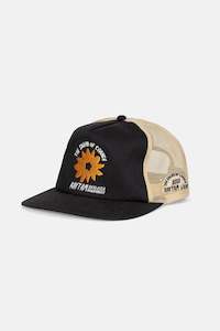 Mens Headwear: Down Under Trucker Cap Black