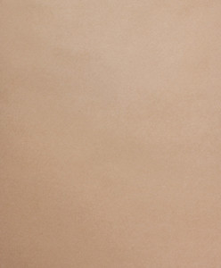 KRAFT WRAPPING PAPER FLORISTS 100GSM - Ribbon & Blues