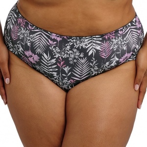 Lingerie: Goddess Kayla brief Charcoal GD6168