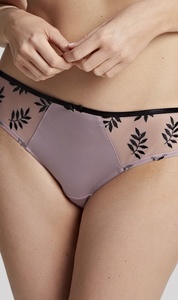 Tango brief