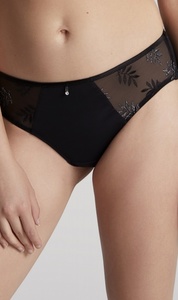 Tango brief