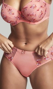 Tango brief
