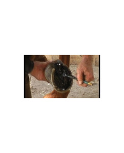 Stockholm Tar - 1 Litre - Horse Care-Farrier Tools & Studs : Richmond Saddle&hellip;