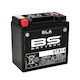 Bs Batteries - 12v Agm
