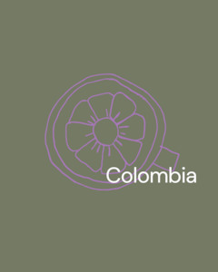 Frontpage: Riley Coffee - Special/Single Origin (Mexican - Honey processed)