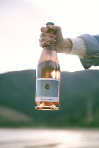 Summer Haze – Marlborough Rosé Ripple Effect Wines NZ - REW