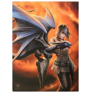 Products: Small Dragon Trainer Canvas RivendellWorld