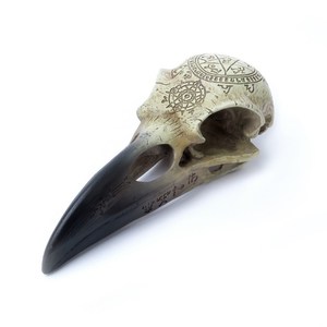 Alchemy Omega Raven Skull RivendellWorld