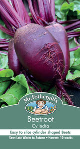 Products: Beetroot Cylindra