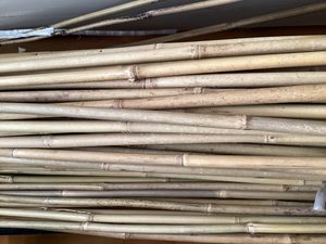 Products: Bamboo Cane each