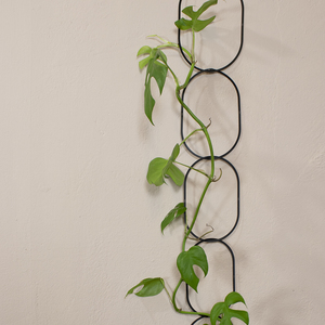 Products: Botanopia Climbing Plant Support