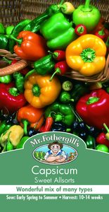 Capsicum Sweet Allsorts