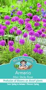 Products: Armeria Mini Sticks Rose