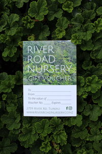 Products: Gift Vouchers