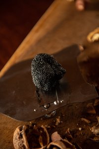 Products: Fresh Truffle NZ per gram - RiverrdTruffière