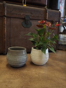 Plant Pot - Rivet - Vintage & Gallery from Raglan